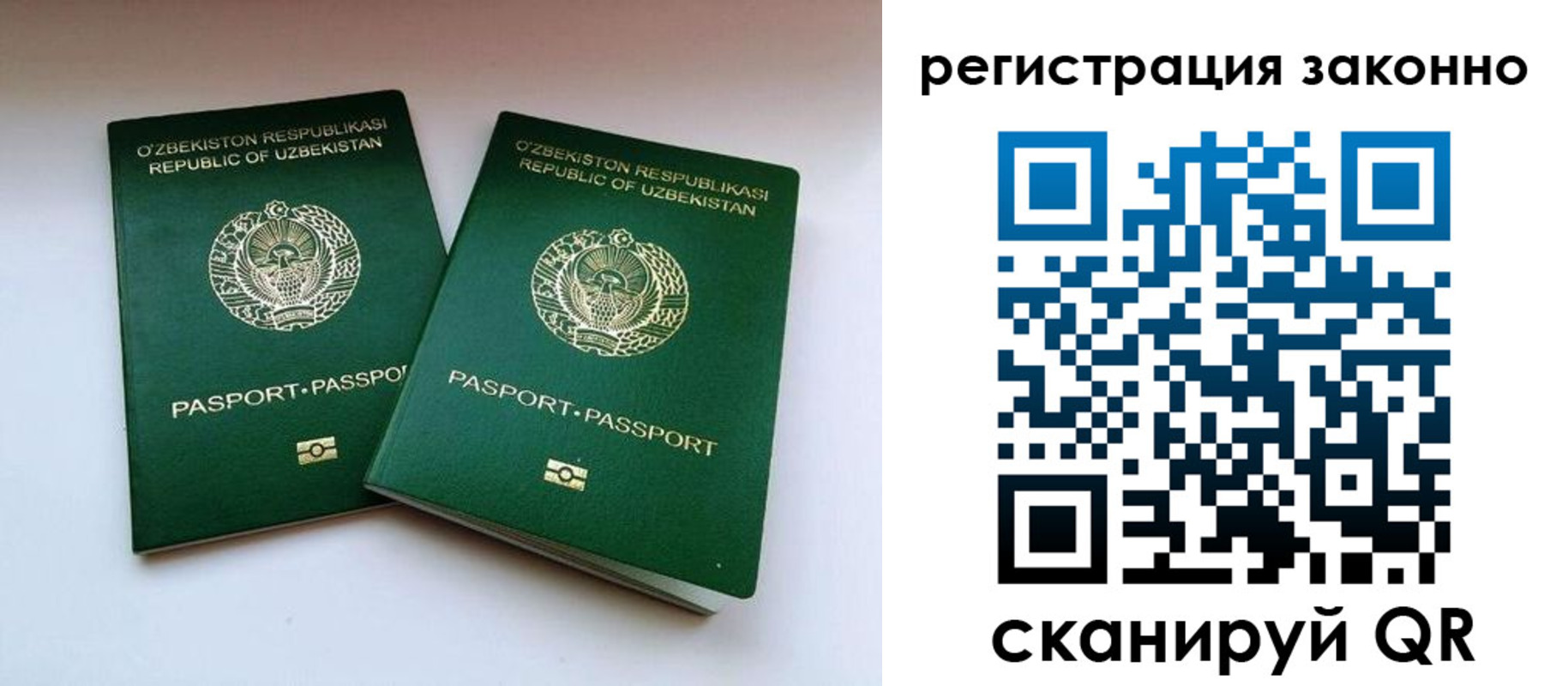 прописка гарантия в Дорогобуже